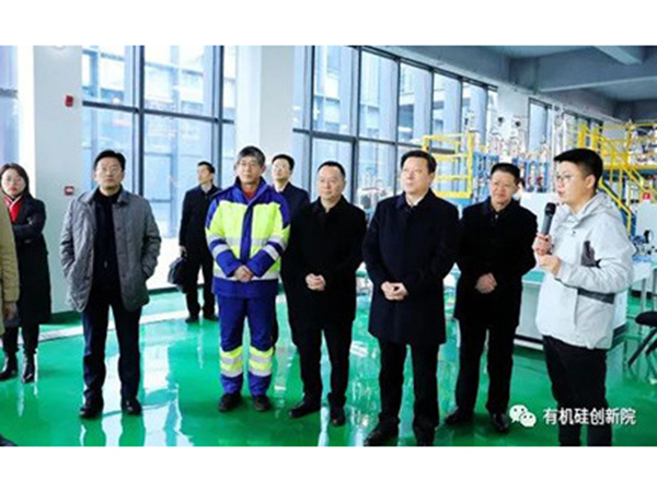 江西省委常委、政法委书记张鸿星调研江西星火化工实训基地