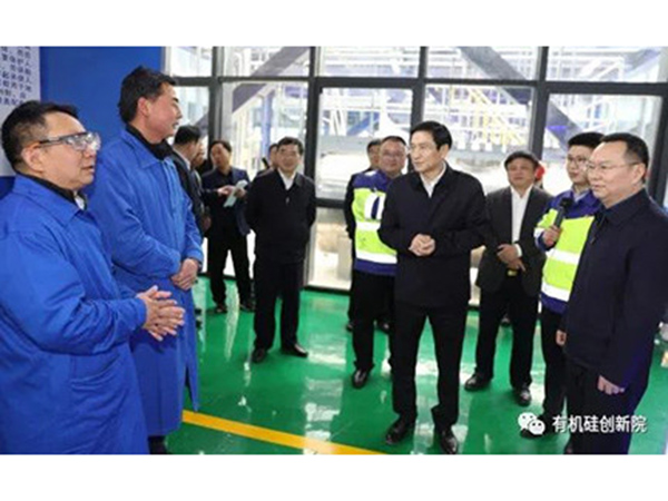 江西省副省长陈小平调研江西星火化工实训基地