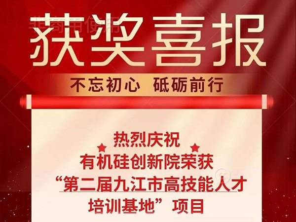 获奖喜讯 | 热烈祝贺有机硅创新院荣获“第二届九江市高技能人才培训基地”项目